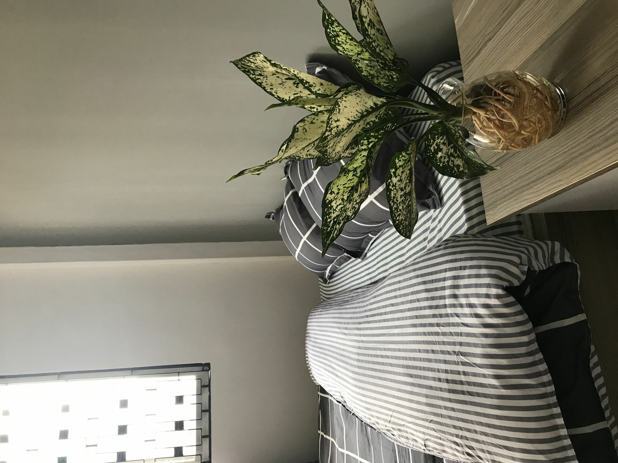 Meowies Homestay Ho Si Minh-város Kültér fotó